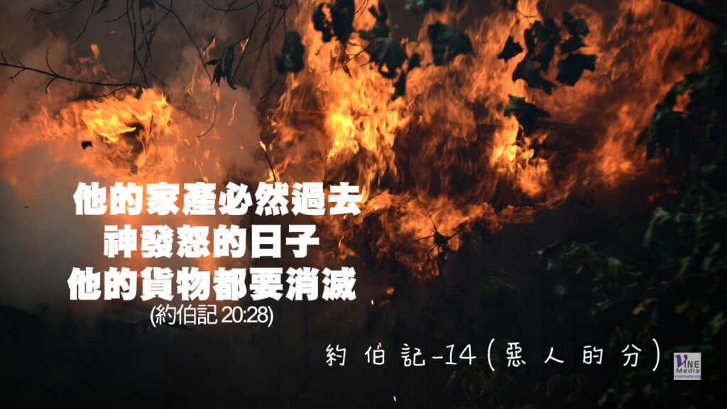 #217 八月四日──約伯記-14 (惡人的分)-第20章