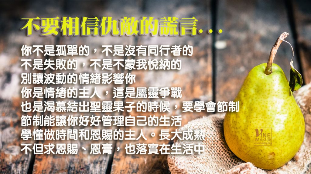 #98 不要相信仇敵的謊言…