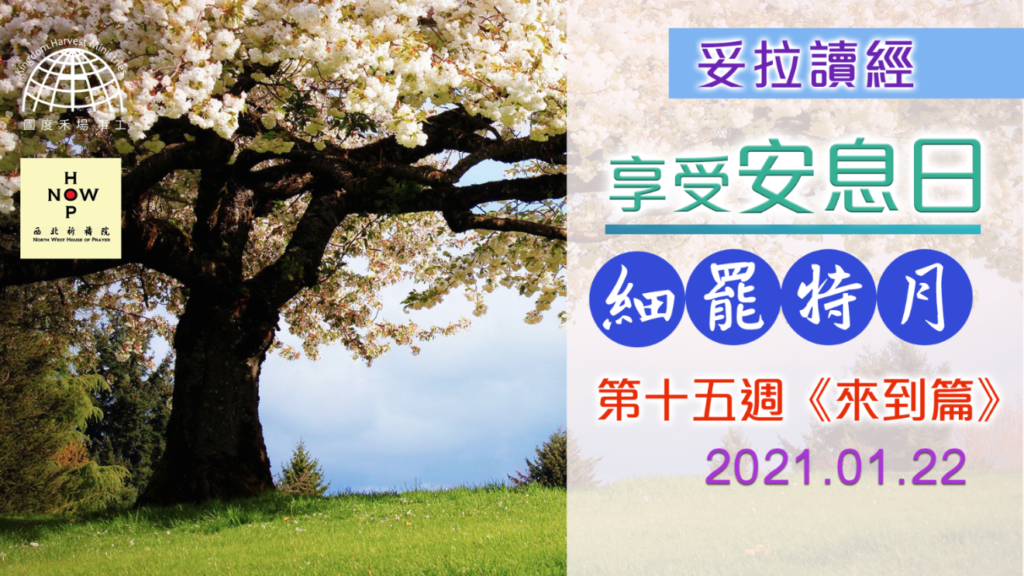 享受安息日│妥拉讀經-提別月-第十五週 《來到篇》01.22.2021 |西北祈禱院 NWHOP │國度禾場事工 KHM