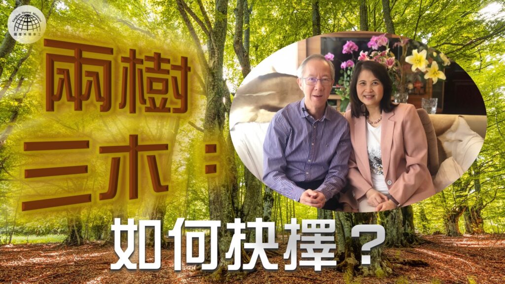 《兩樹三木：如何抉擇？》 – 「節日專題系列」| 2022.04.24 | 國度禾場事工 一教會 KHM One Church