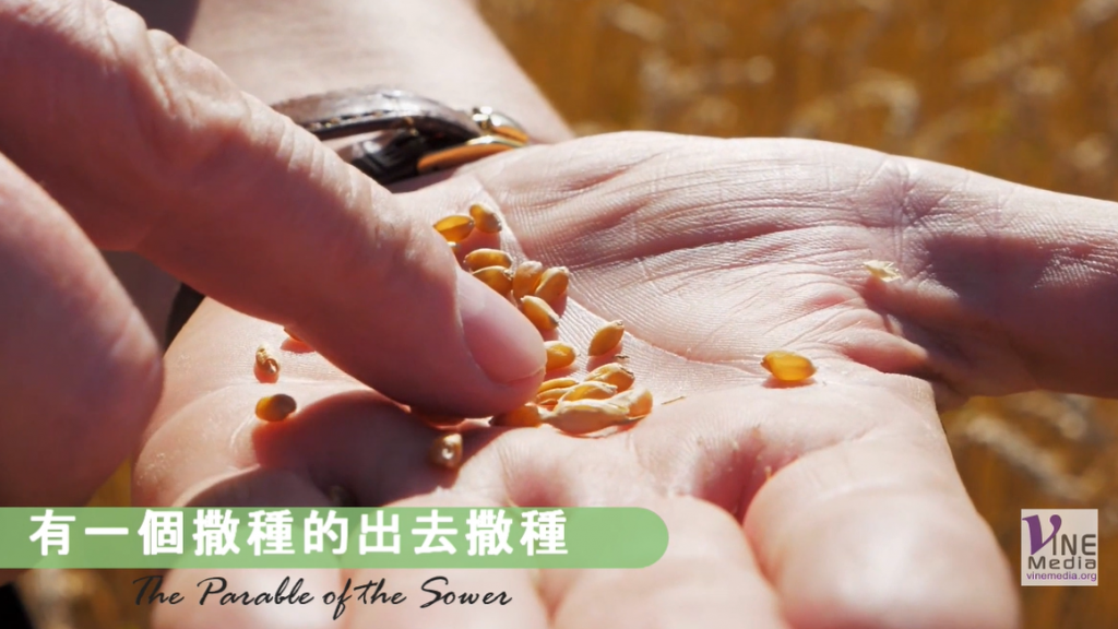 （信息）留心聽