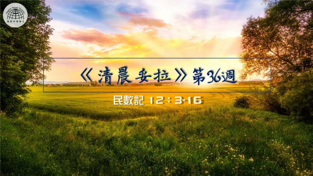 《清晨妥拉》第36週 (七) | 民數記 12：3-16