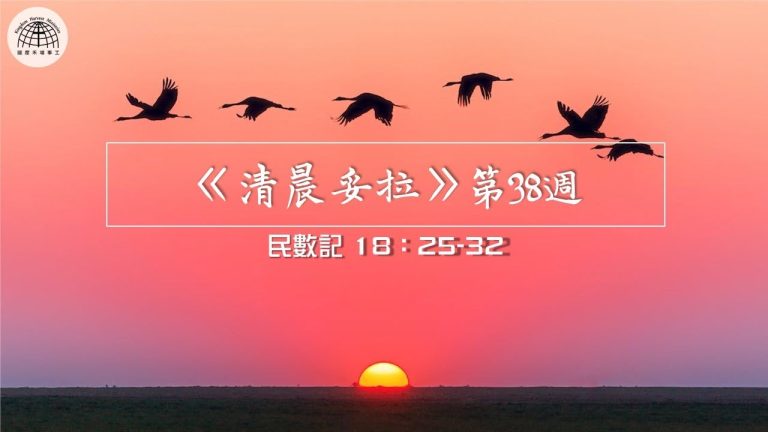 《清晨妥拉》第38週 (七) | 民數記 18：25-32