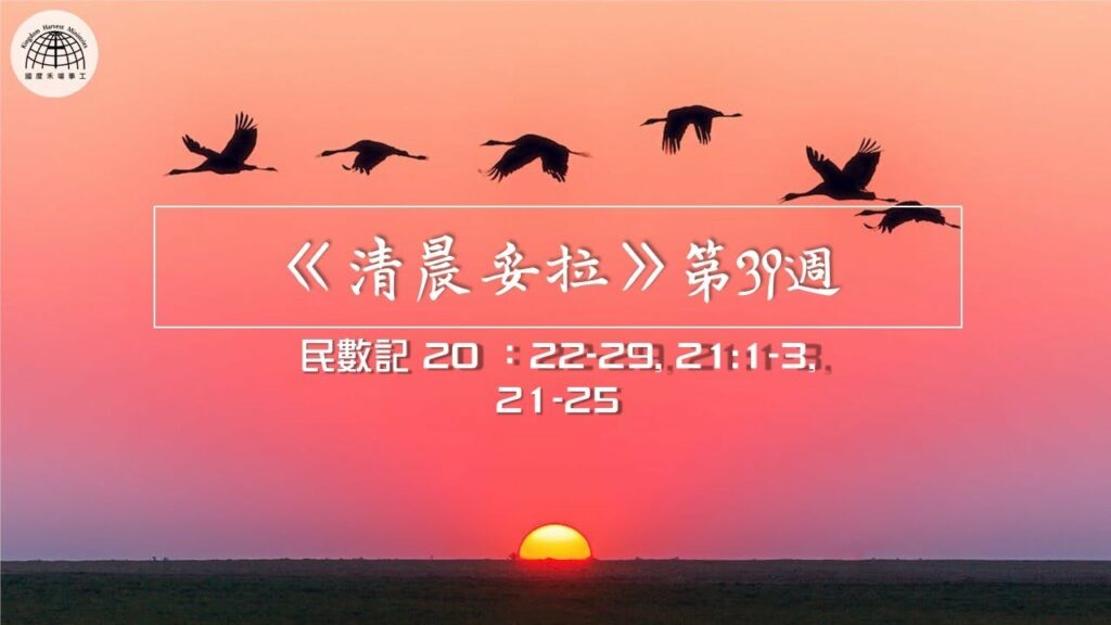 《清晨妥拉》第39週 (七) | 民數記 20 ：22-29, 21:1-3, 21-25