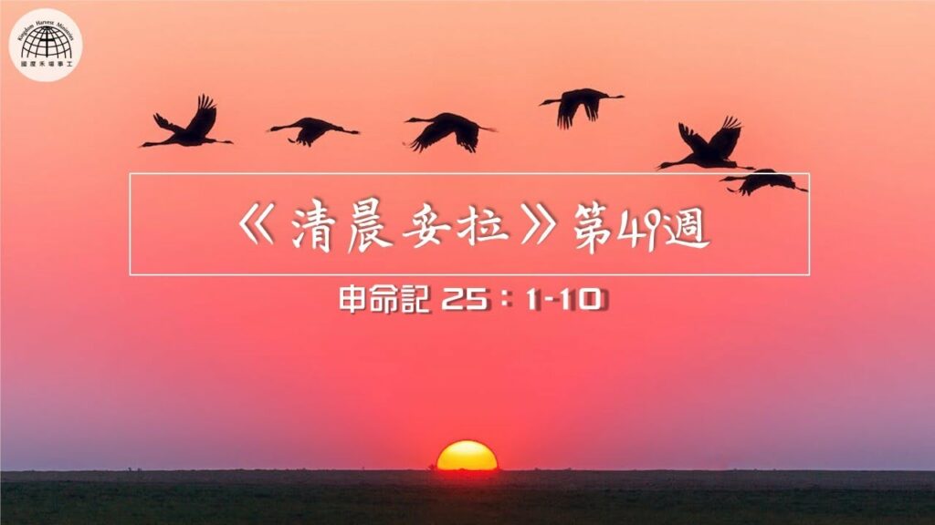 《清晨妥拉》第49週 (七) | 申命記 25：1-10