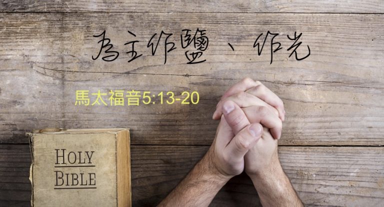 為主作鹽作光