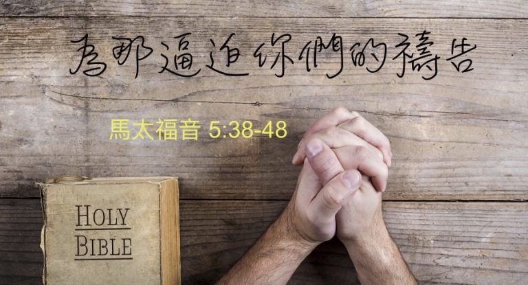 為那逼迫你們的禱告