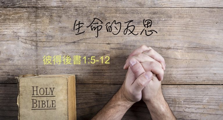 生命的反思