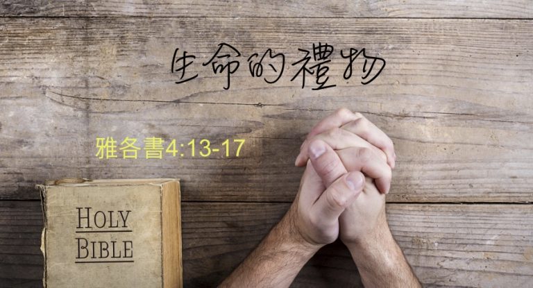 生命的禮物