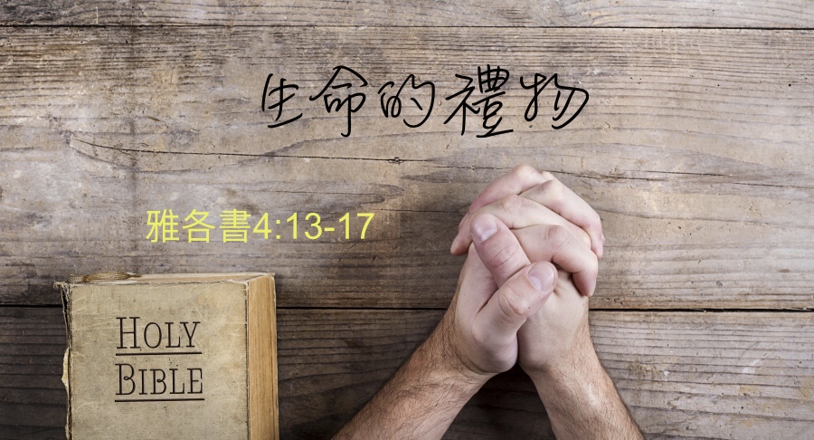 生命的禮物