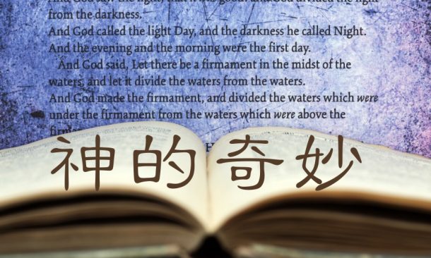神的奇妙