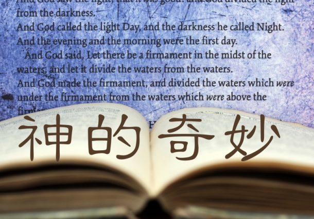 神的奇妙