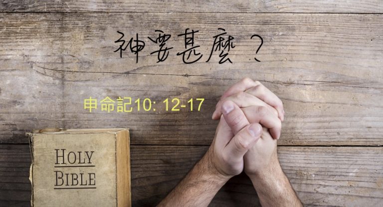 神要甚麼